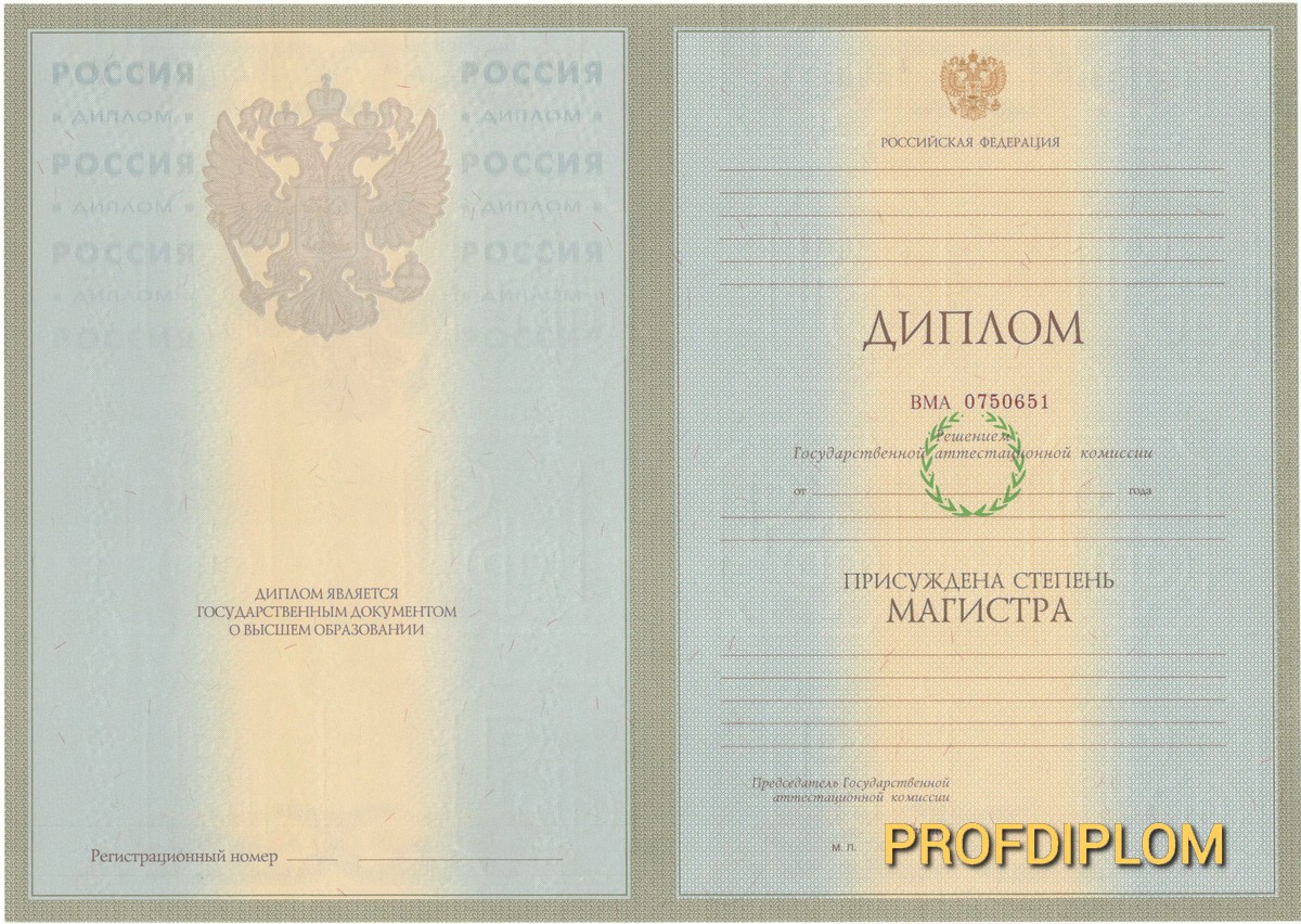 Диплом магистра 2004-2008 купить