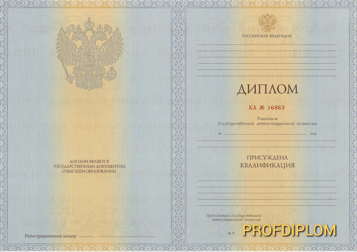 Диплом специалиста 2011-2013 купить