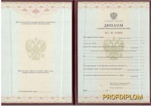 Диплом о проф. переподготовке 2010